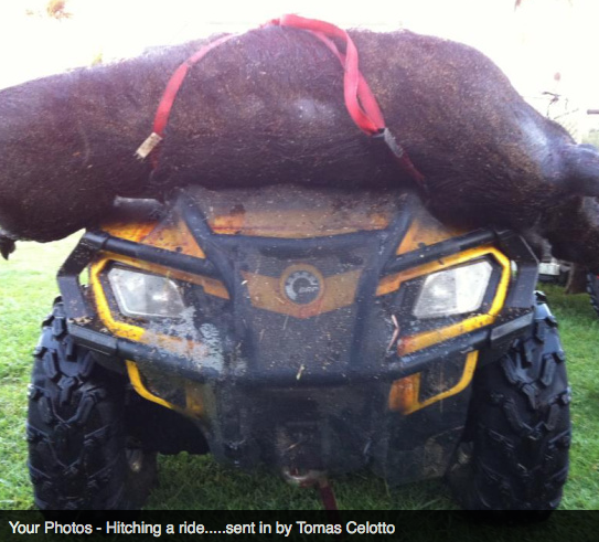 Screen Shot 2013-10-02 at 1.34.50 PM